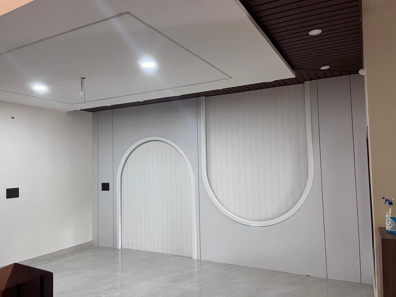 Arched minimalist TV wall interior